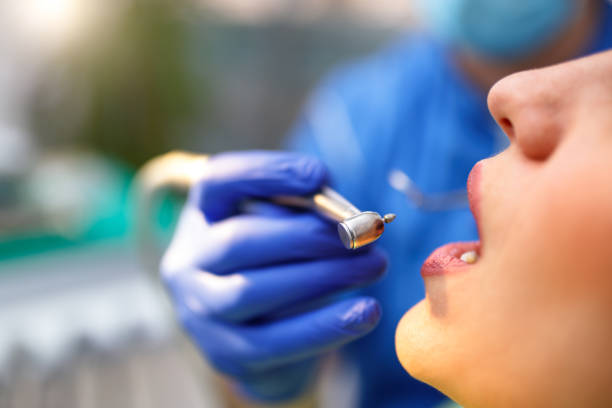 Trusted Chatham, IL Holistic Dental Care Services Experts